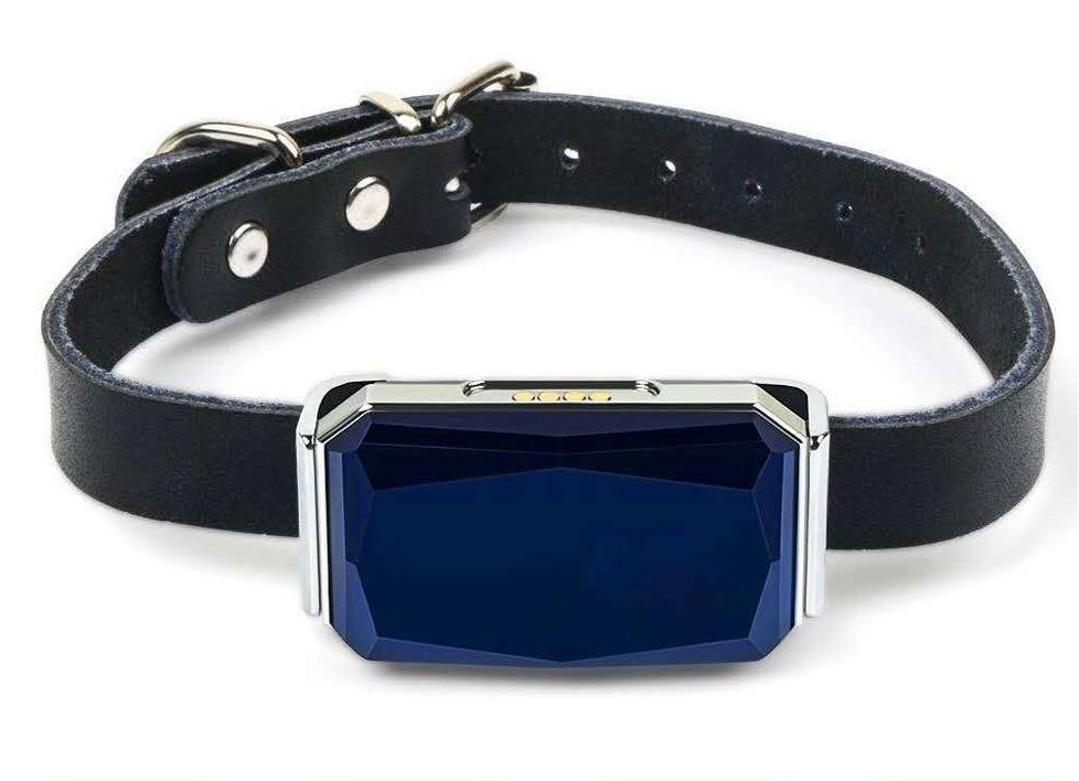 Pet equipment charging connector (2)