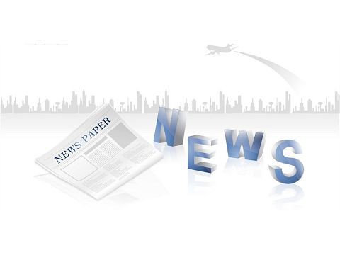 Care sunt principalele componente și funcții ale conectorului pin Pogo?