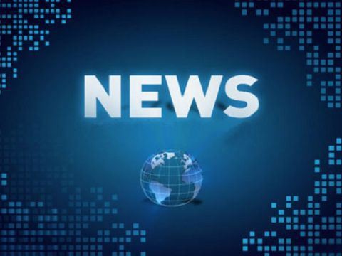 Compoziția și funcția pinului Pogo