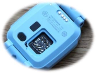 Introducerea din oțel inoxidabil Pogo Pin